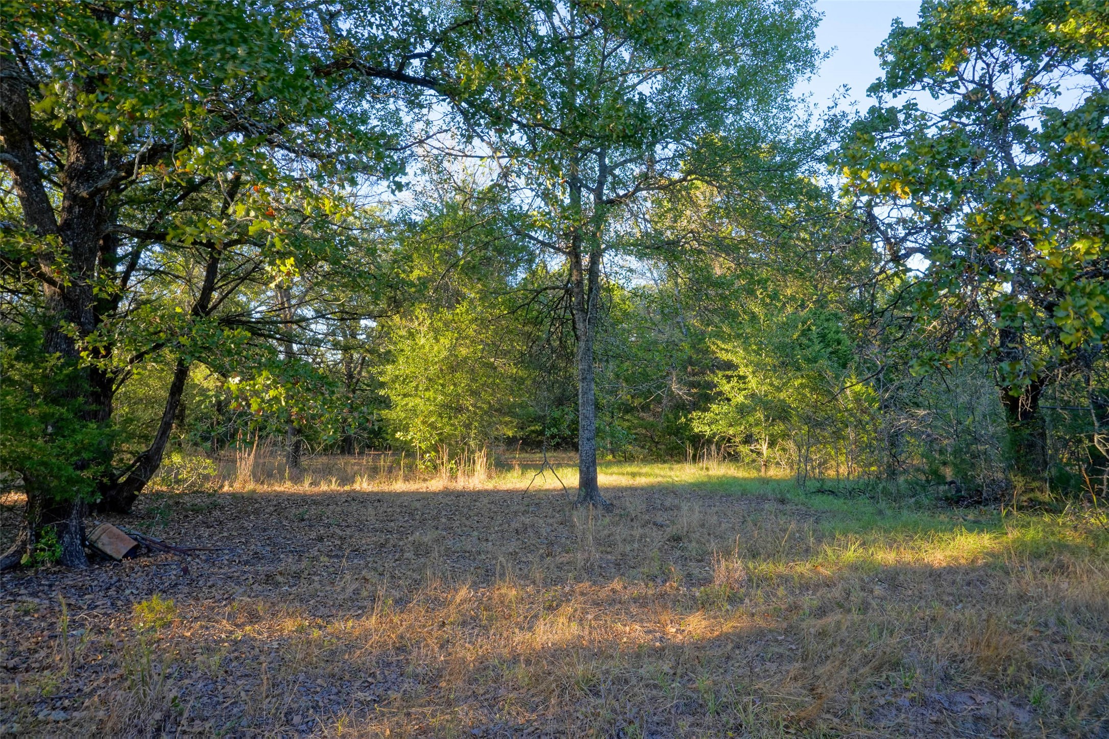 45 Acres County Road 930 Teague TX 75860