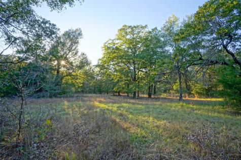 45 Acres County Road 930 Teague TX 75860