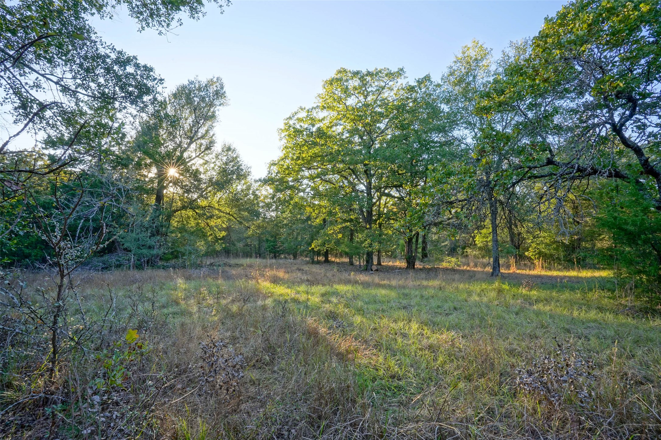45 Acres County Road 930 Teague TX 75860