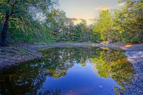 45 Acres County Road 930 Teague TX 75860