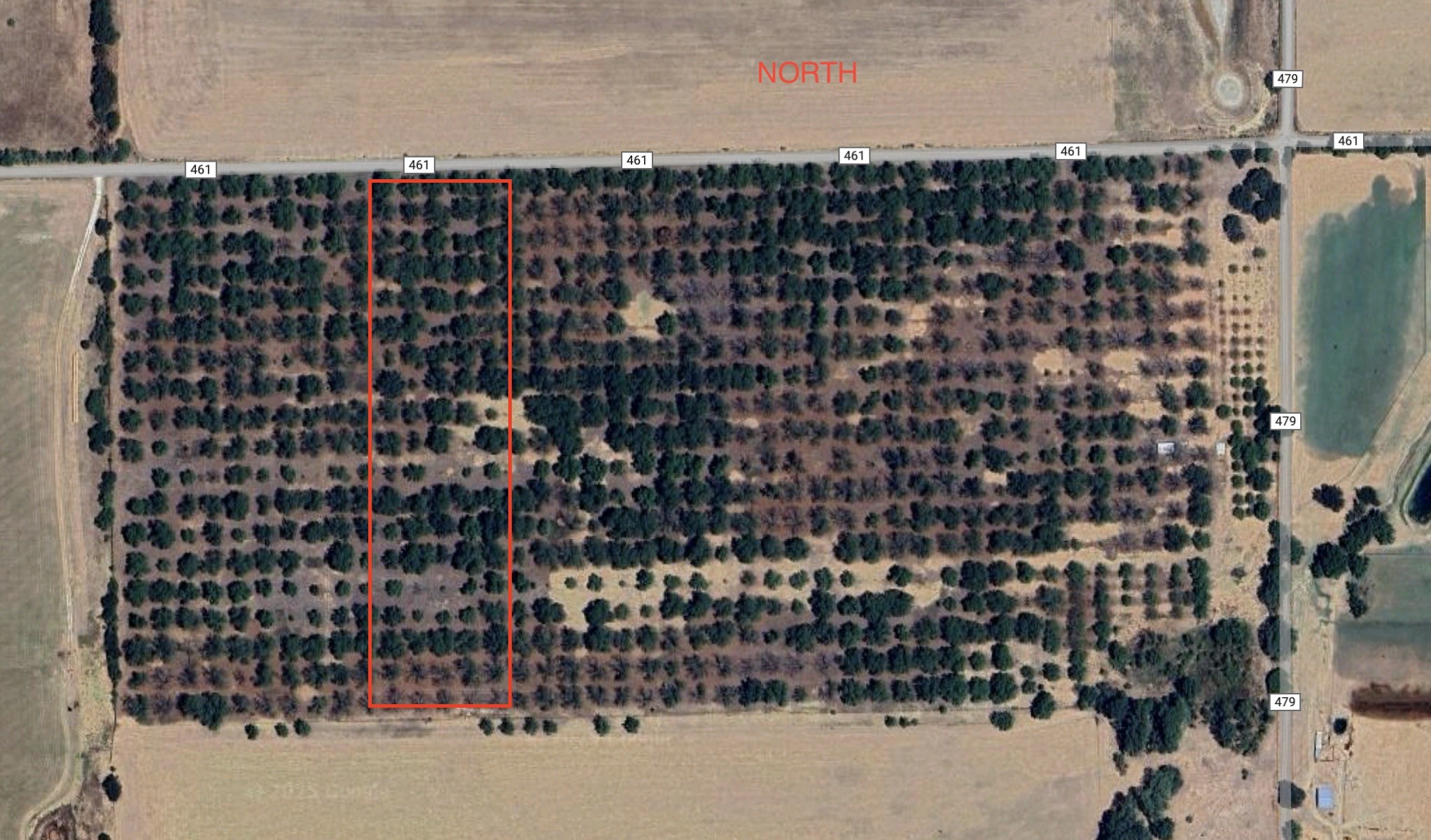 Tbd County Road 461 De Leon TX 76444
