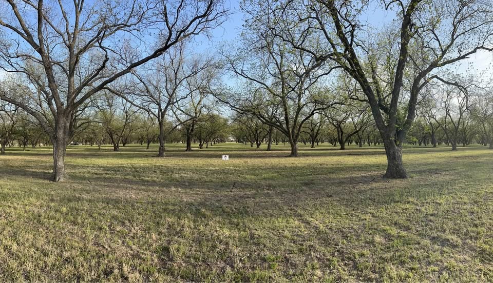 Tbd County Road 461 De Leon TX 76444