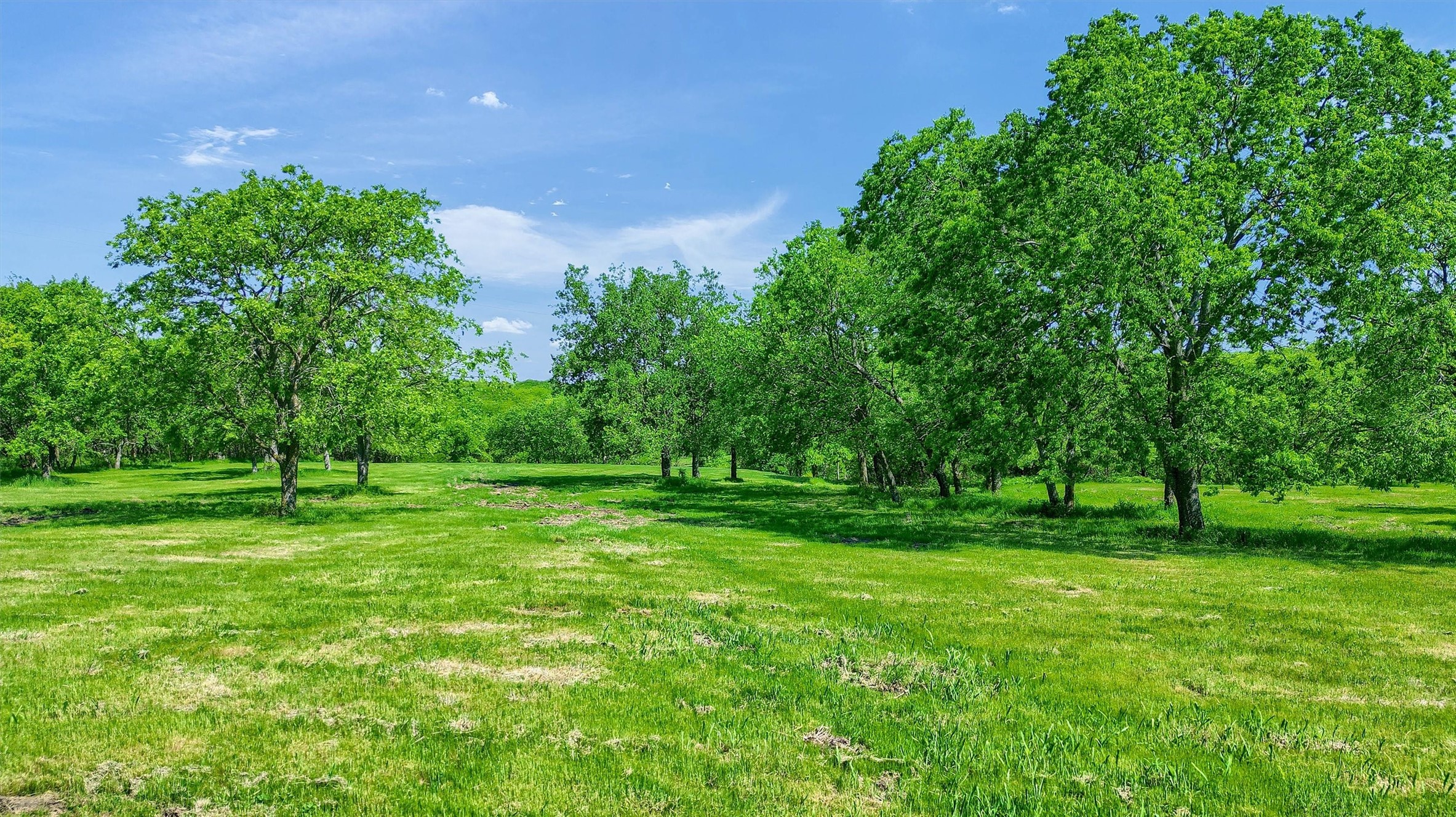 695 Mackey Road Gunter TX 75058