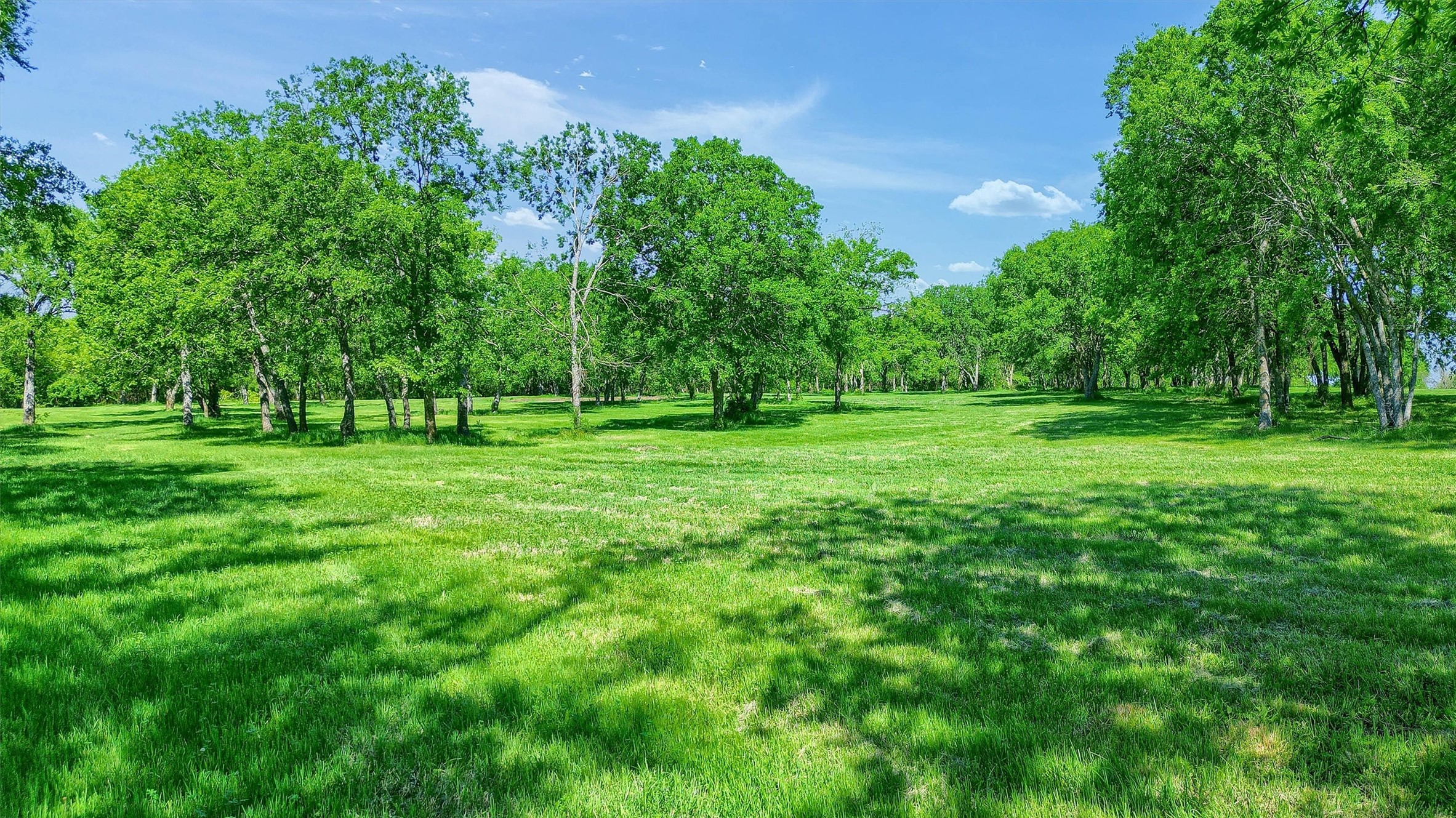 695 Mackey Road Gunter TX 75058