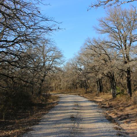 1671 County Road 3838 Bridgeport TX 76426