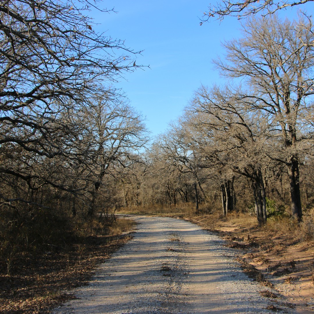 1671 County Road 3838 Bridgeport TX 76426