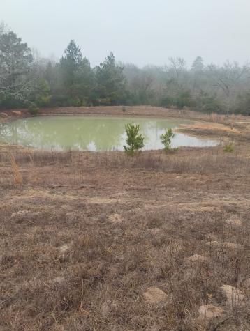 Tbd County Road 204 Centerville TX 75833