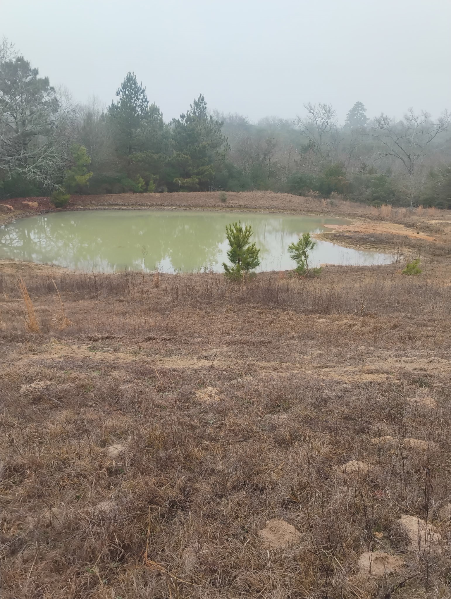 Tbd County Road 204 Centerville TX 75833