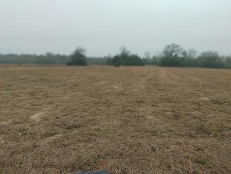 Tbd County Road 204 Centerville TX 75833