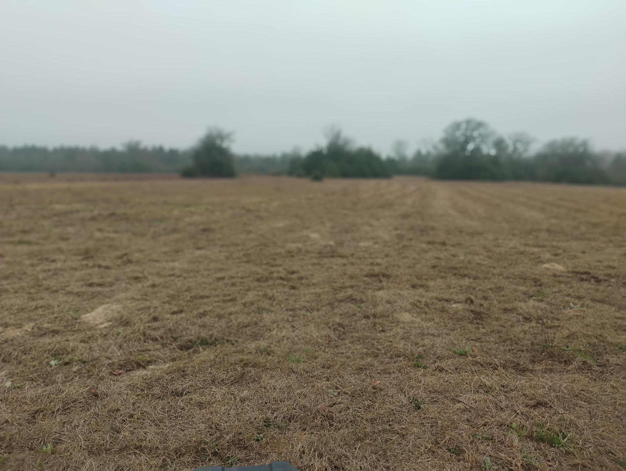 Tbd County Road 204 Centerville TX 75833