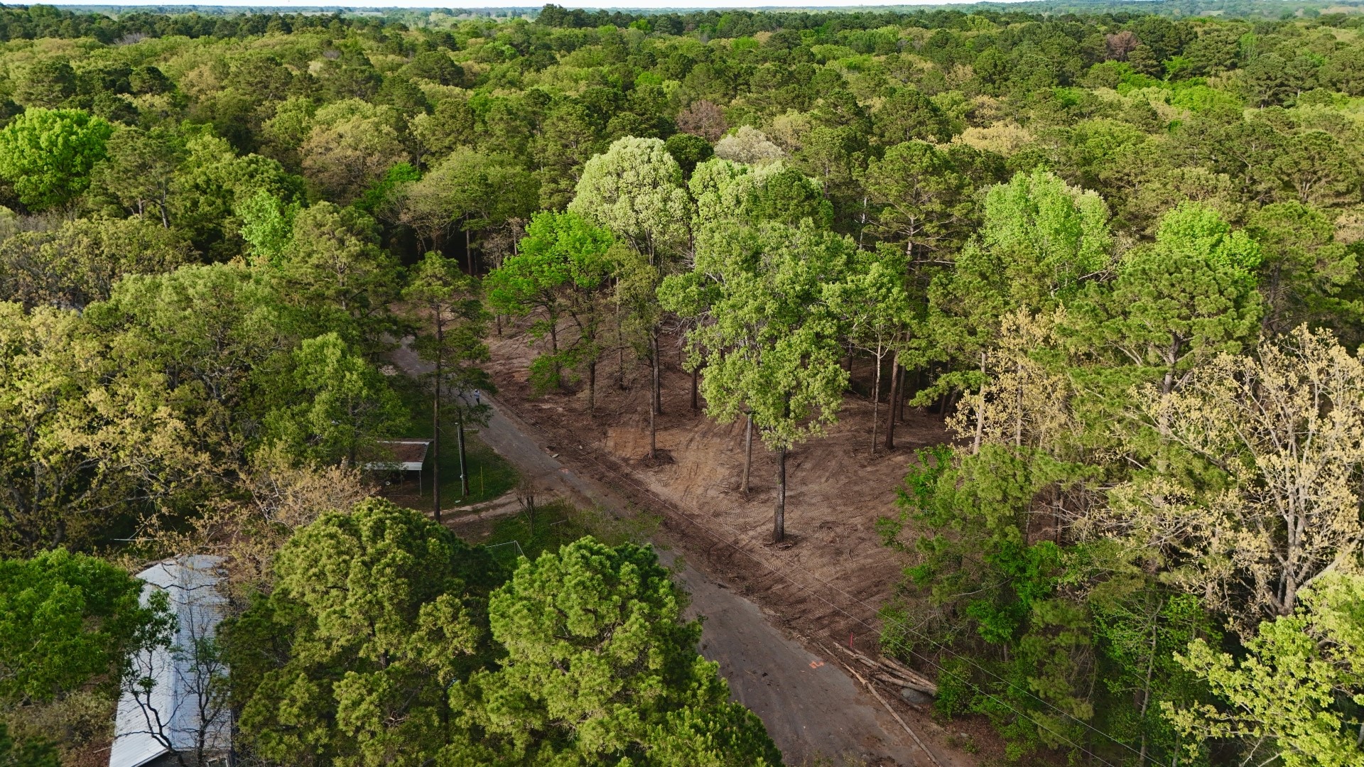 163 Ermine Court Mount Vernon TX 75457