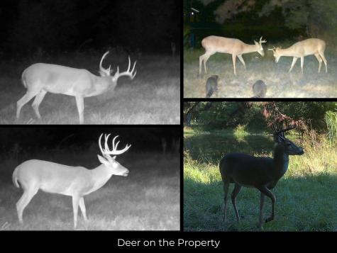 1044 Cr 2060 Hardin TX 77564