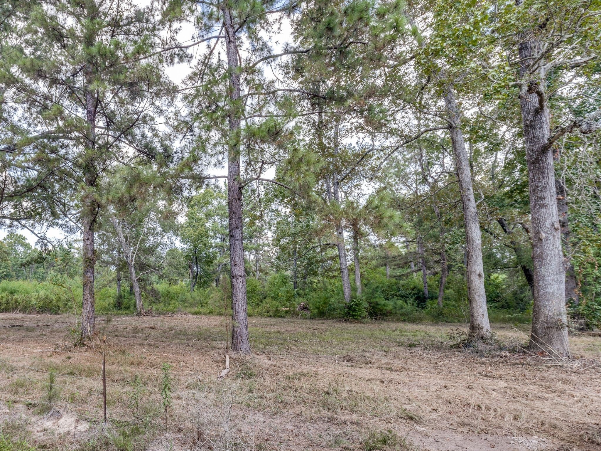 1044 Cr 2060 Hardin TX 77564