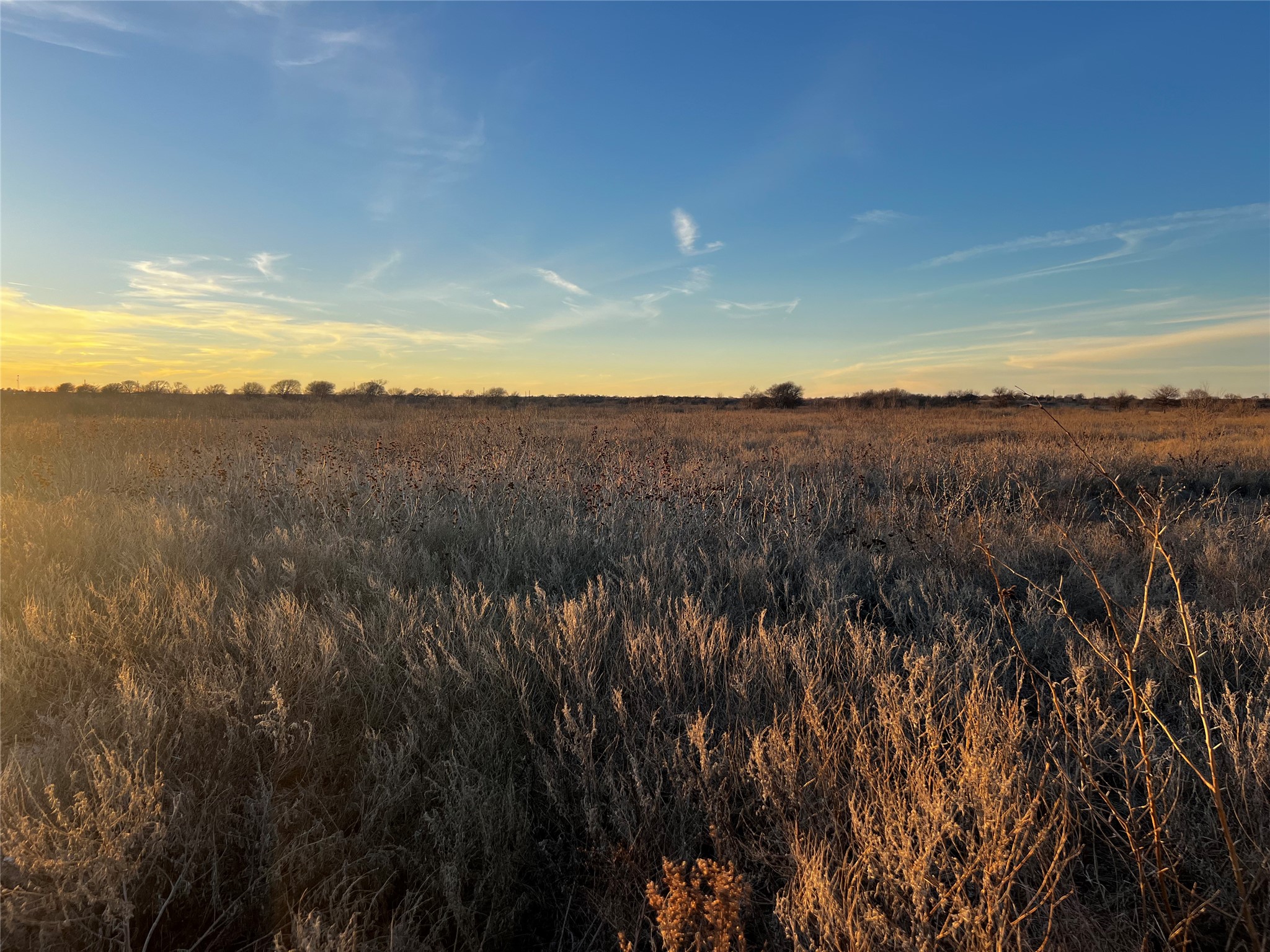 Lot 32 High Plains Trail Bellevue TX 76228