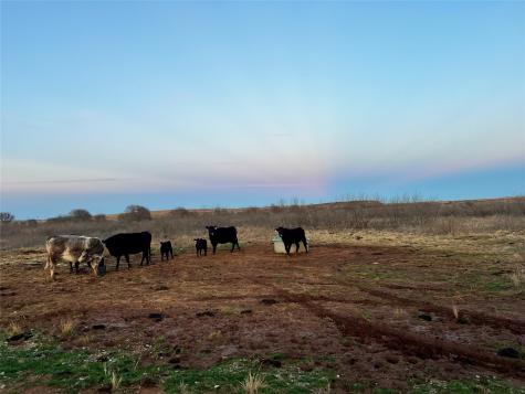 Lot 32 High Plains Trail Bellevue TX 76228