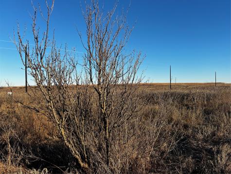 Lot 32 High Plains Trail Bellevue TX 76228