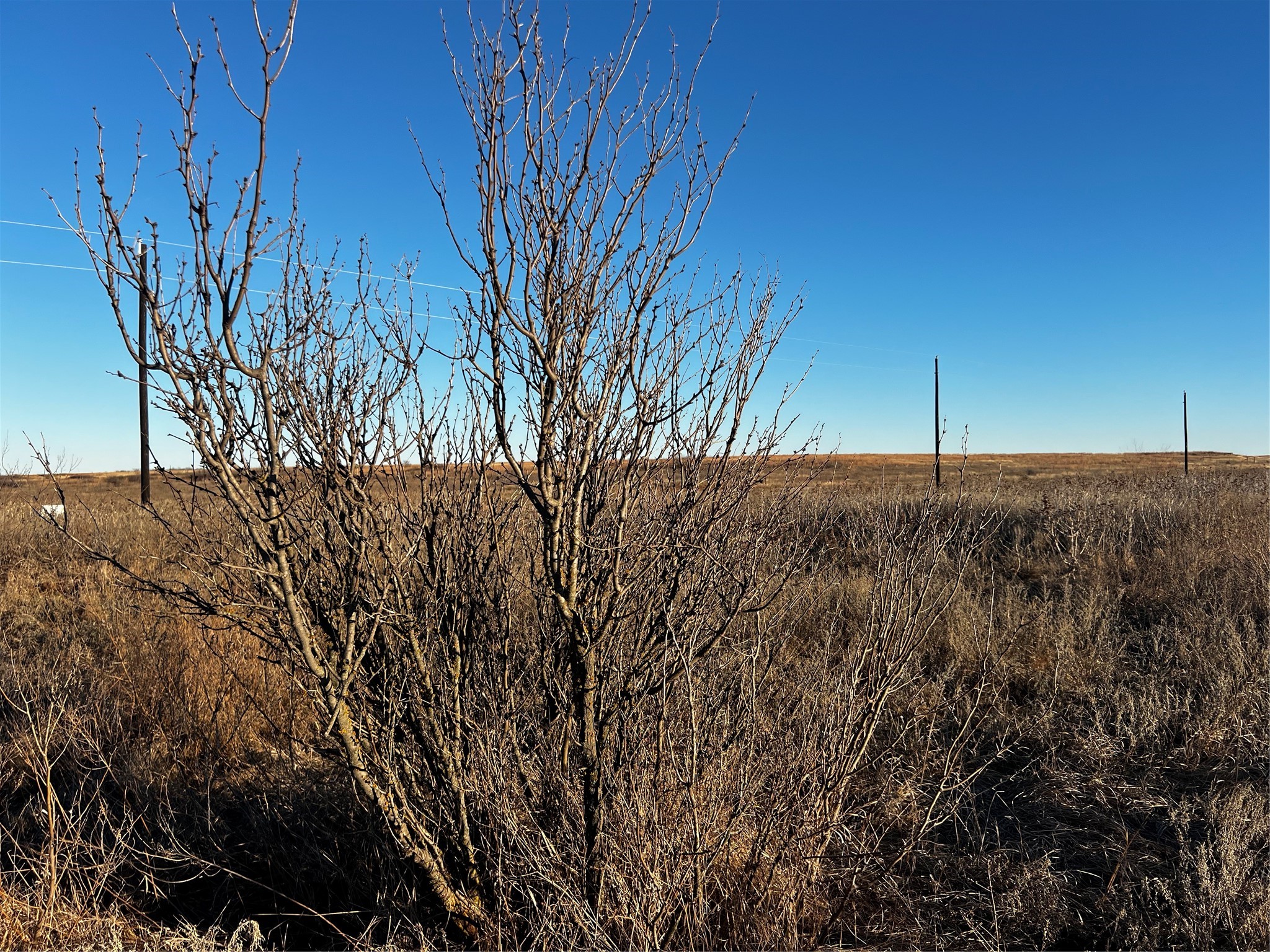 Lot 32 High Plains Trail Bellevue TX 76228