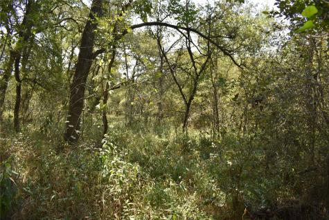 TBD39AC SW Co Road 2340 Richland TX 76681