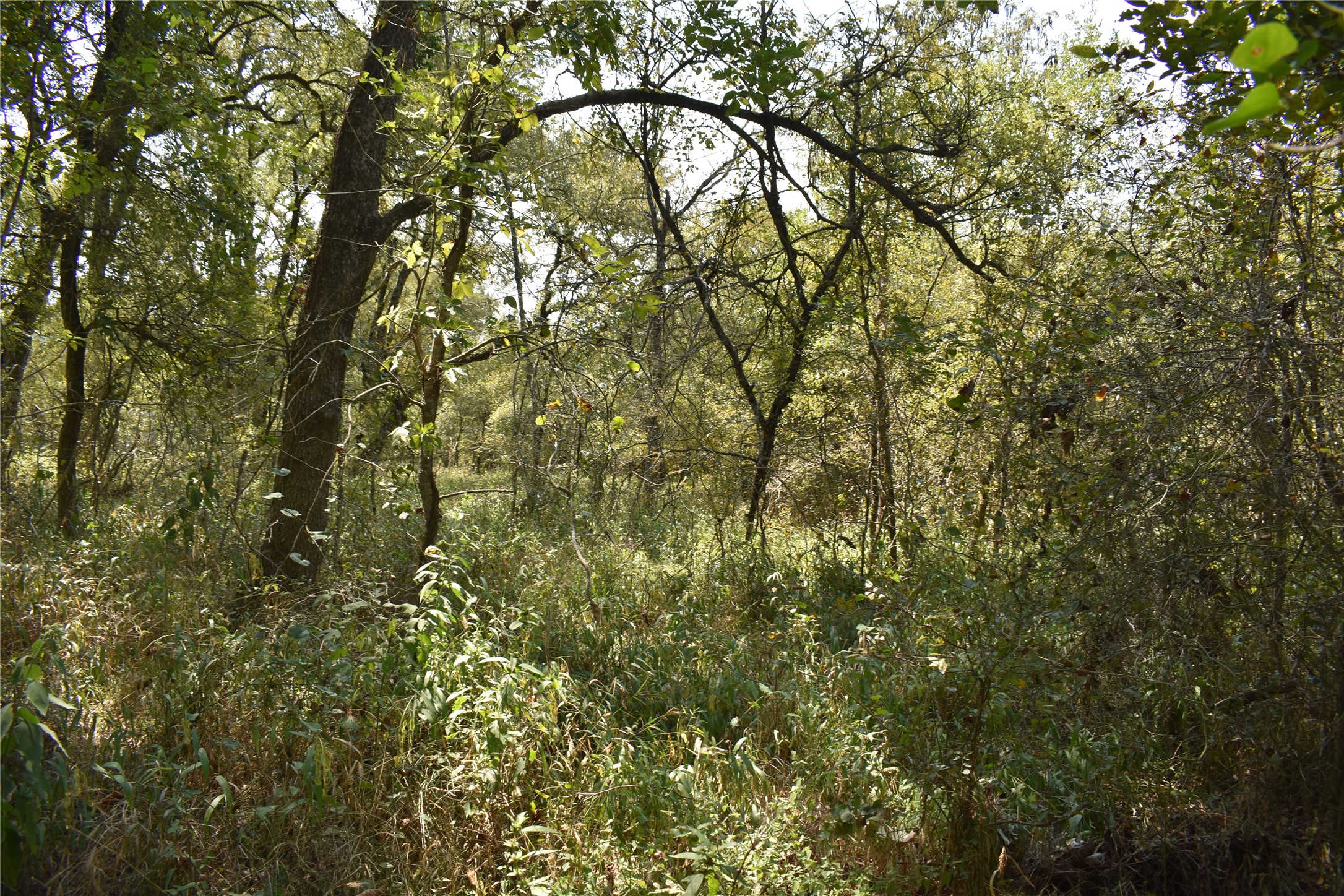 TBD39AC SW Co Road 2340 Richland TX 76681