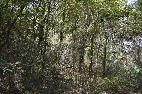 TBD39AC SW Co Road 2340 Richland TX 76681
