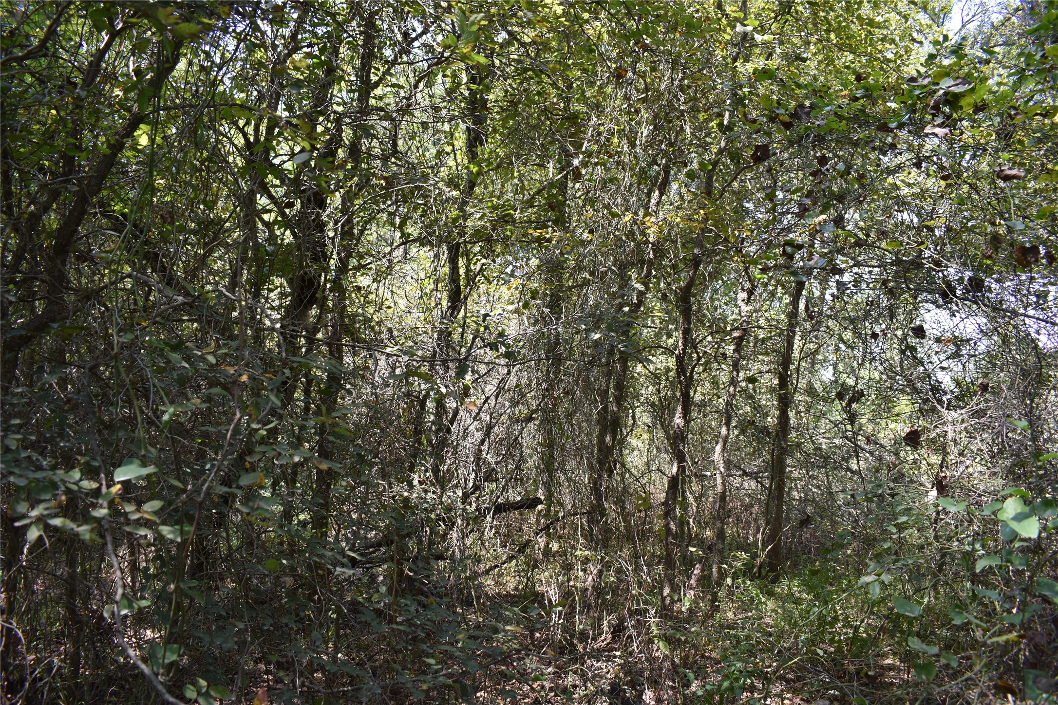 TBD39AC SW Co Road 2340 Richland TX 76681