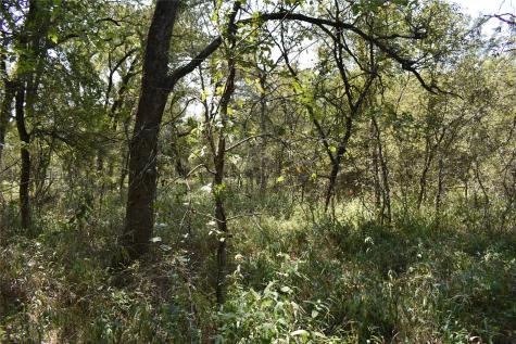 TBD39AC SW Co Road 2340 Richland TX 76681
