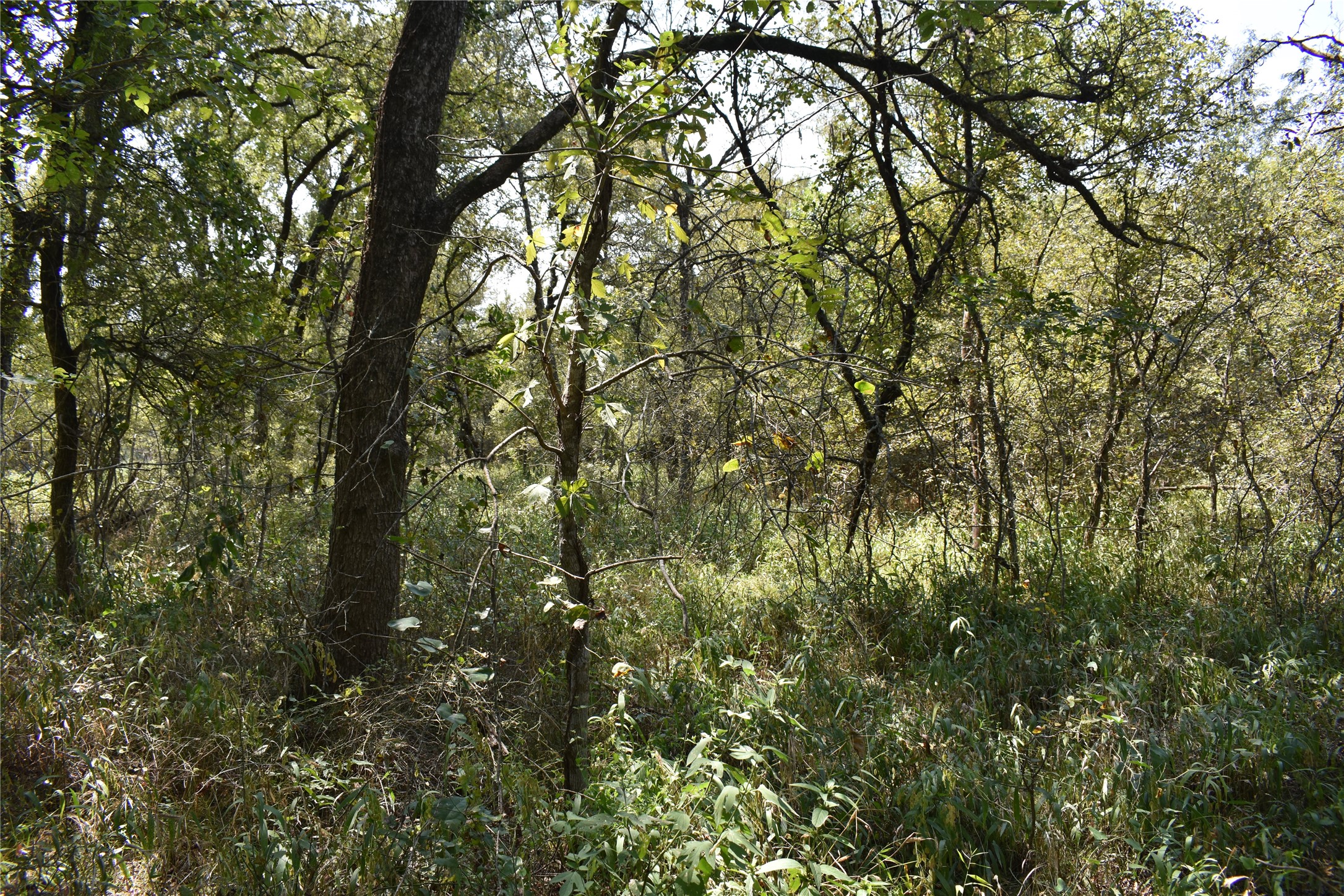 TBD39AC SW Co Road 2340 Richland TX 76681