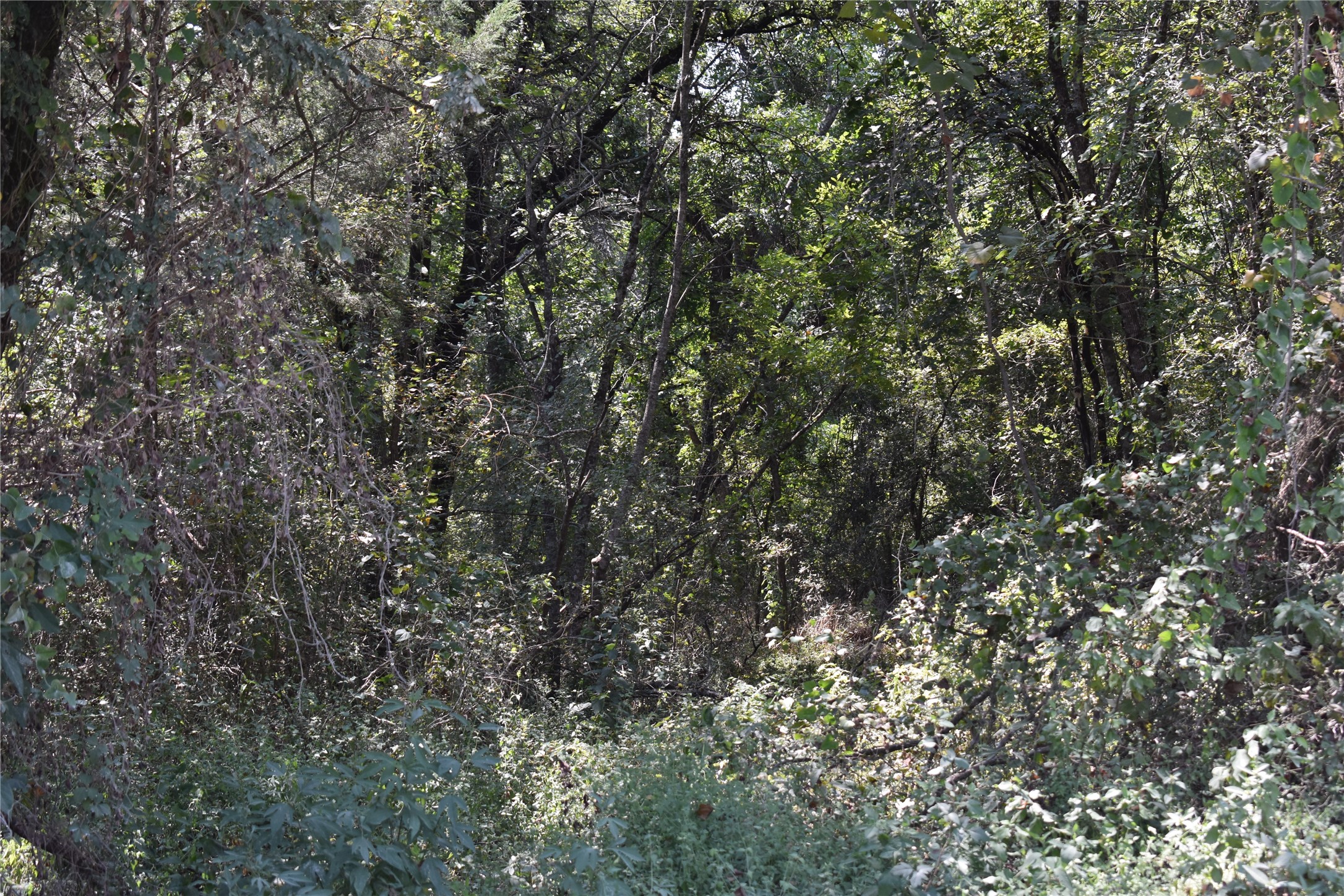TBD39AC SW Co Road 2340 Richland TX 76681