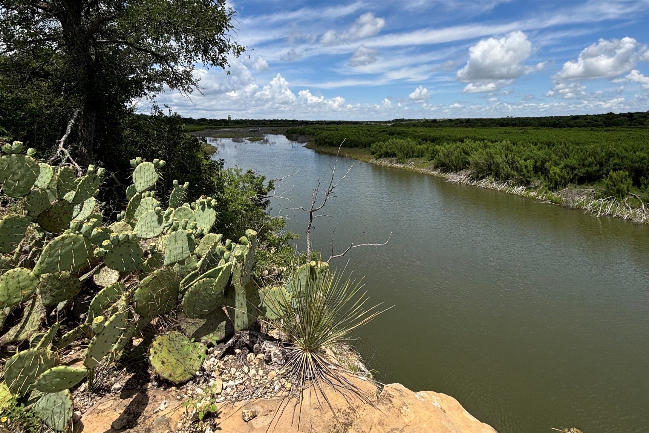 1644 Fm-1929 Voss TX 76888
