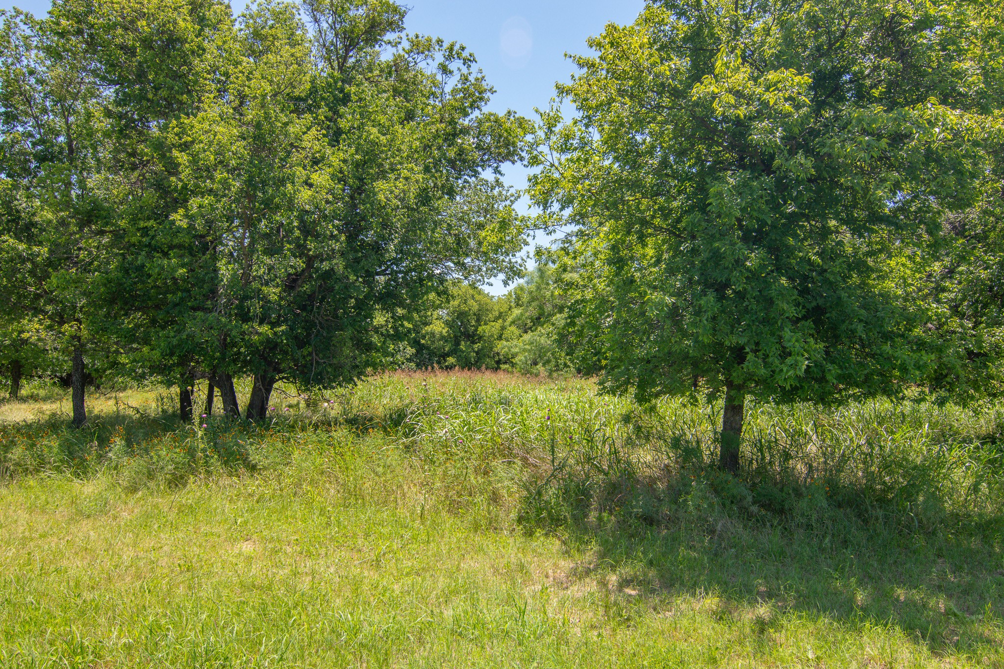2809 4th Street Brownwood TX 76801