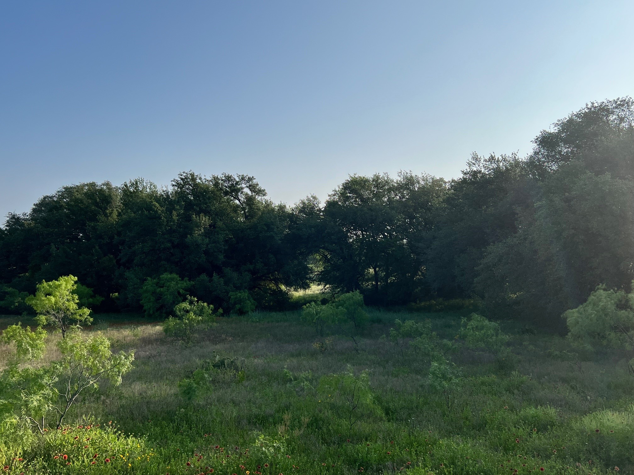 000 S Highway 16 Comanche TX 76442