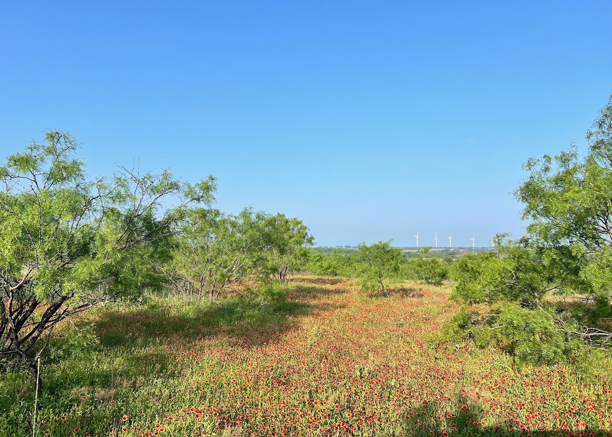 000 S Highway 16 Comanche TX 76442