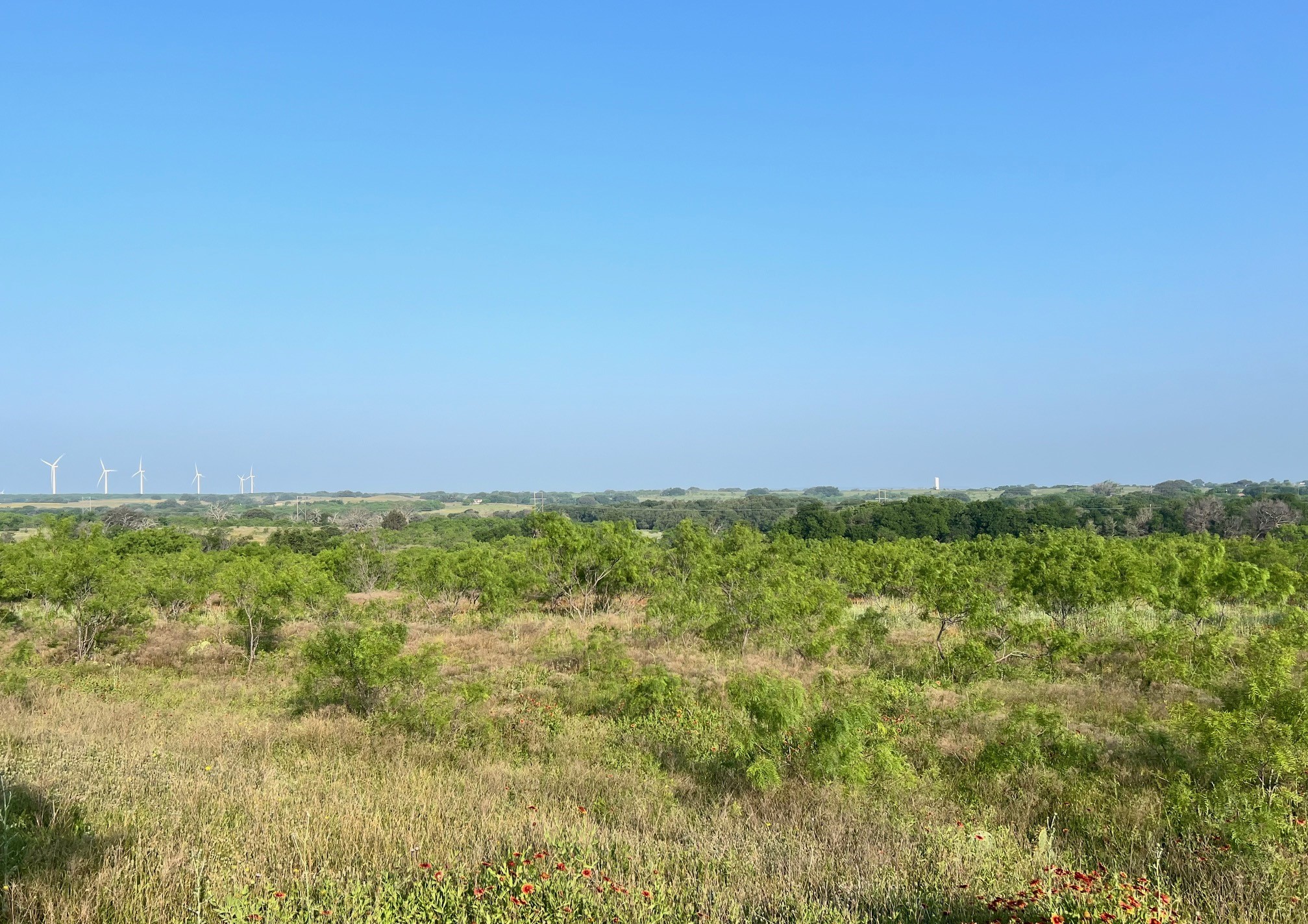 000 S Highway 16 Comanche TX 76442