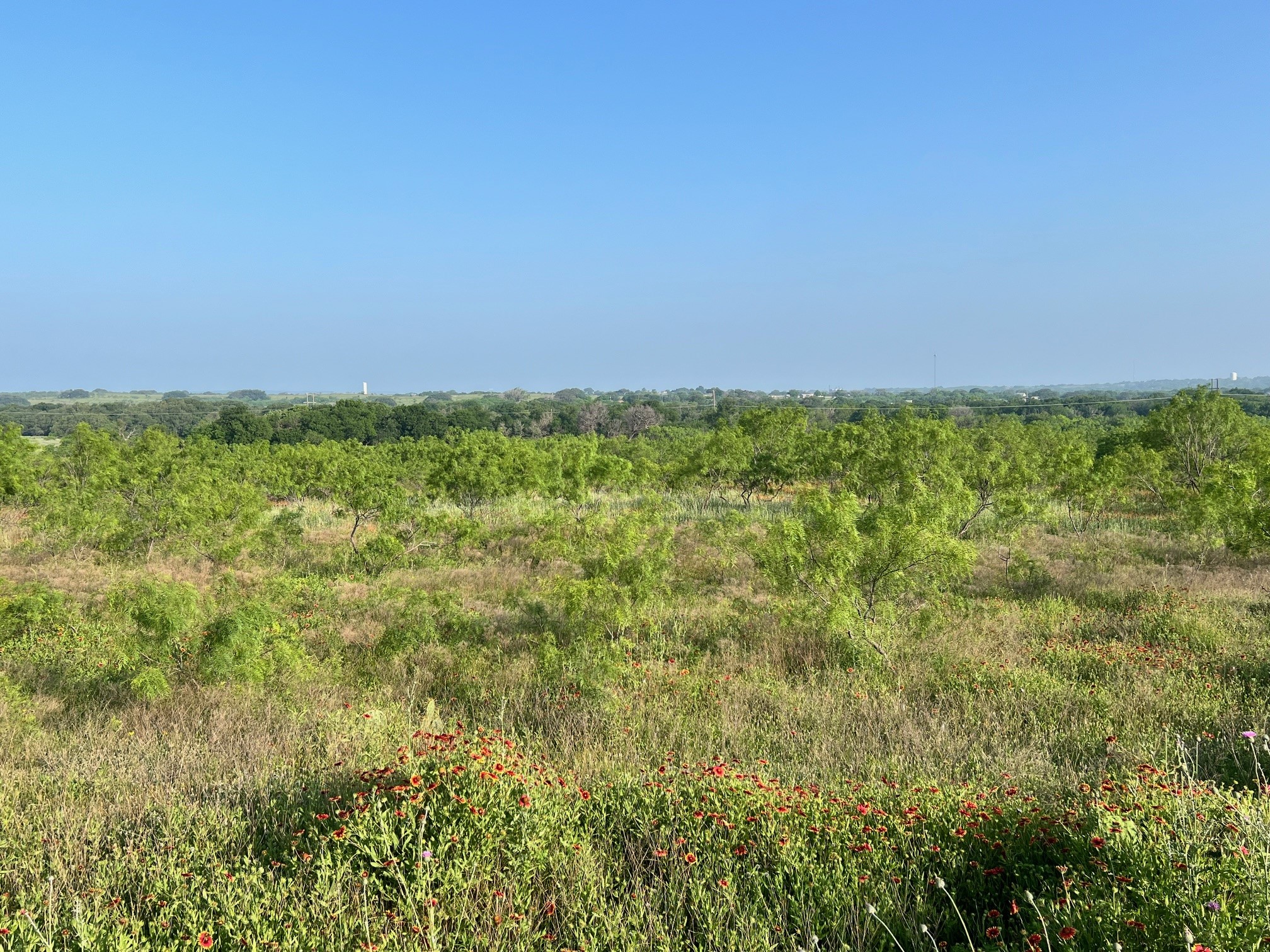 000 S Highway 16 Comanche TX 76442