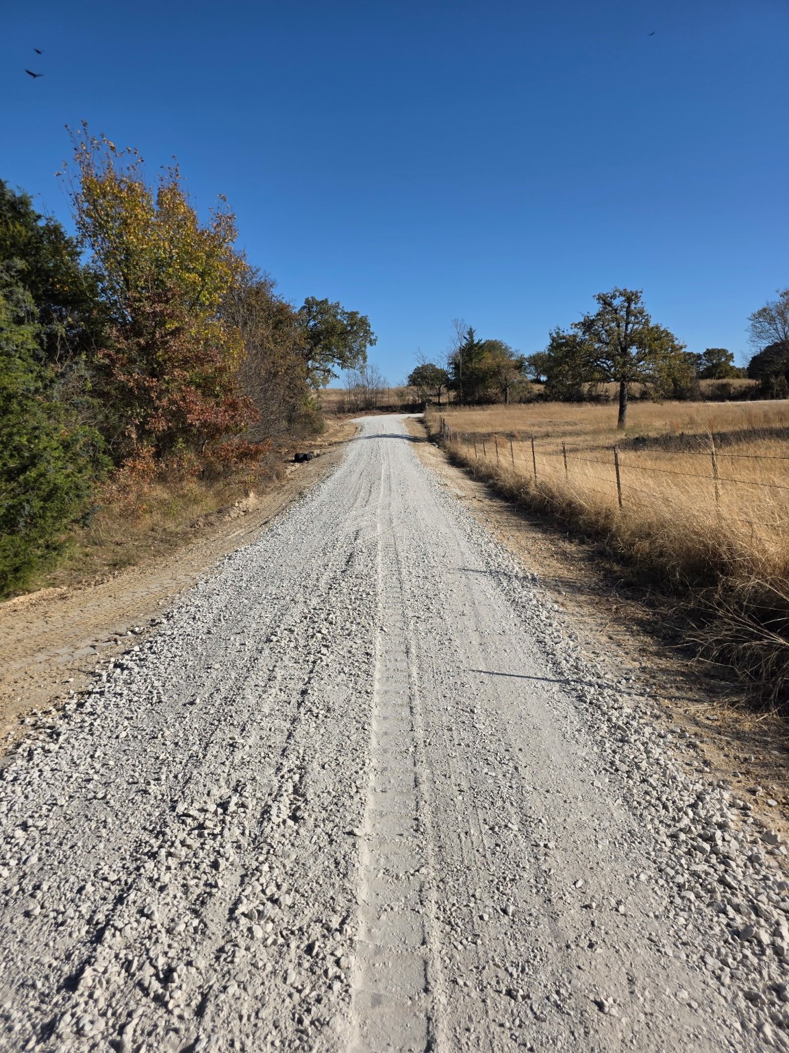0000 Holland Road Forestburg TX 76239