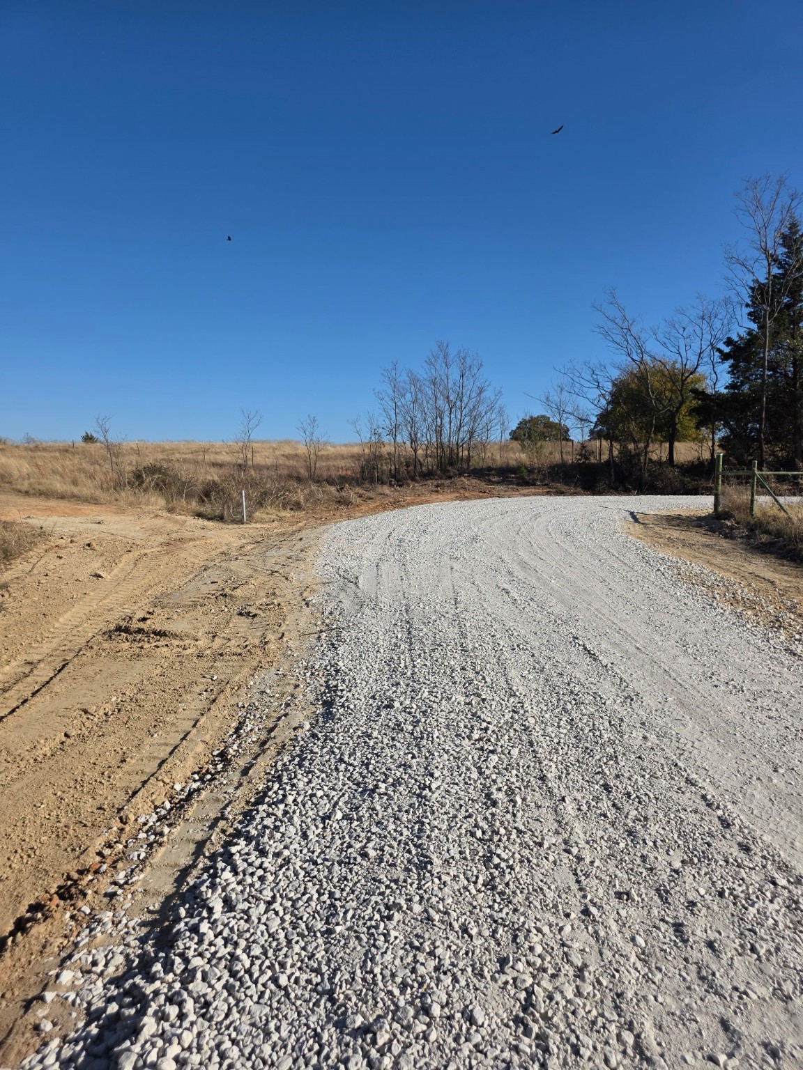 0000 Holland Road Forestburg TX 76239