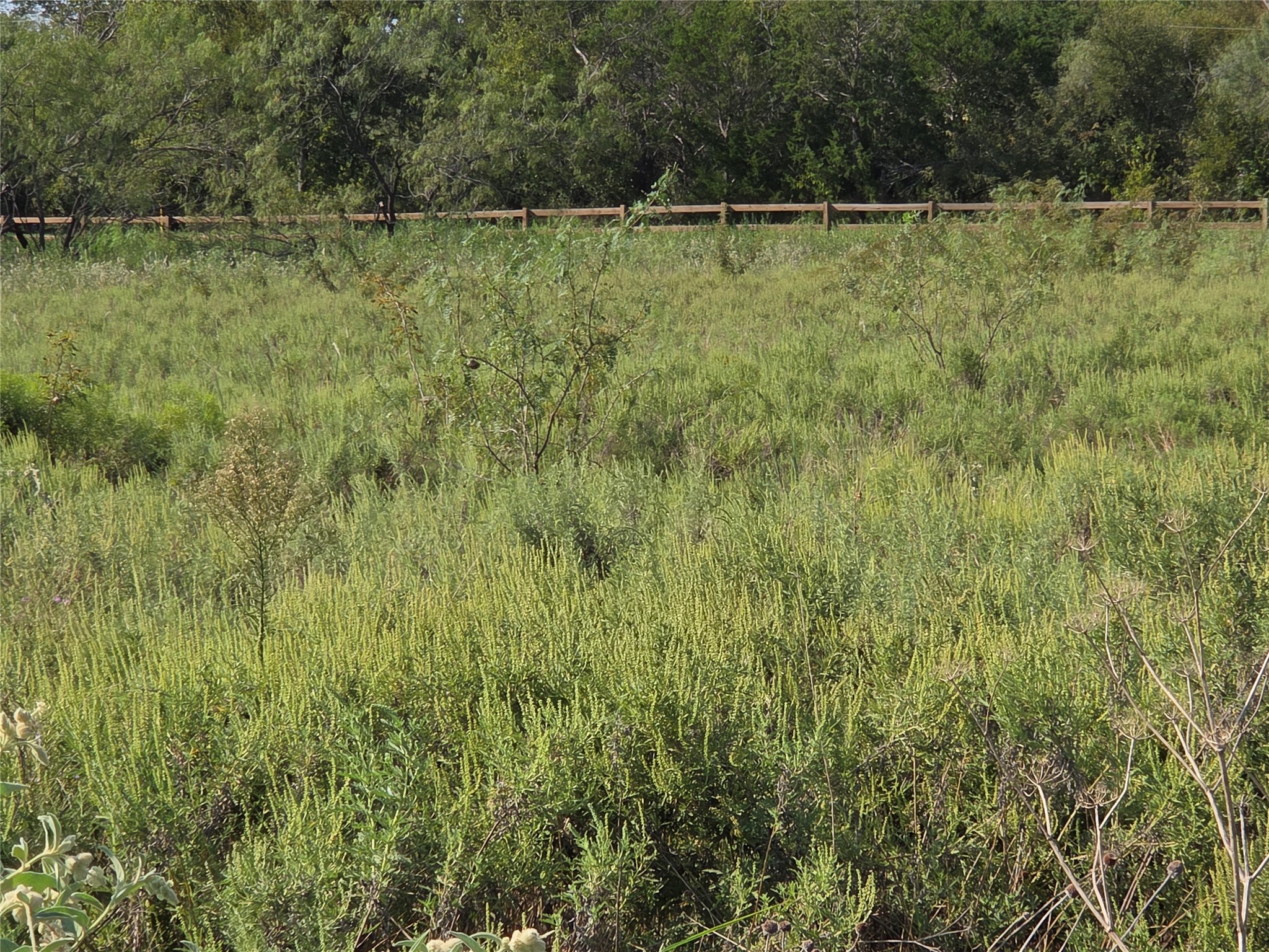 Lot 3 Old Peninsula Trail Corsicana TX 75109
