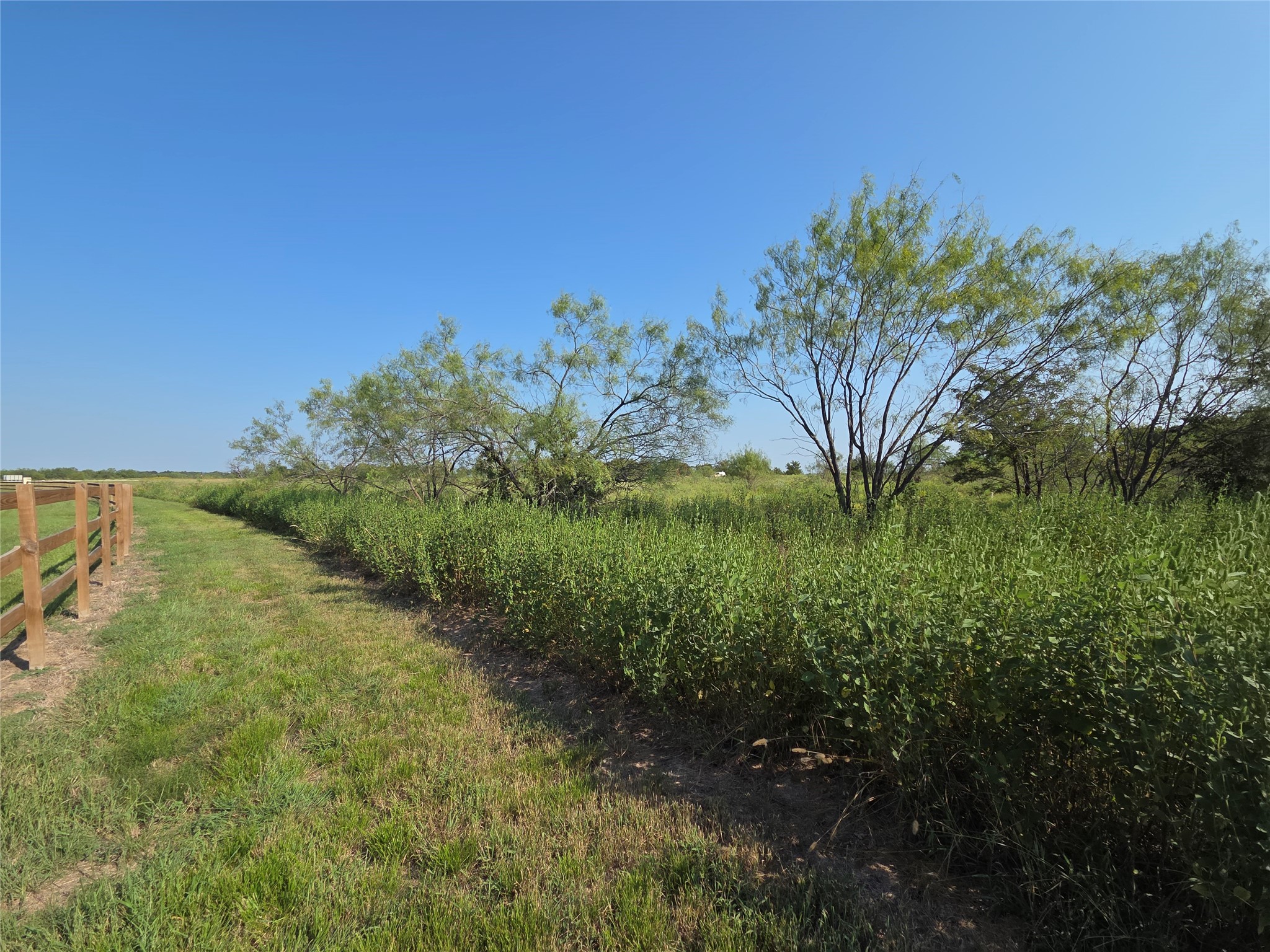 Lot 3 Old Peninsula Trail Corsicana TX 75109