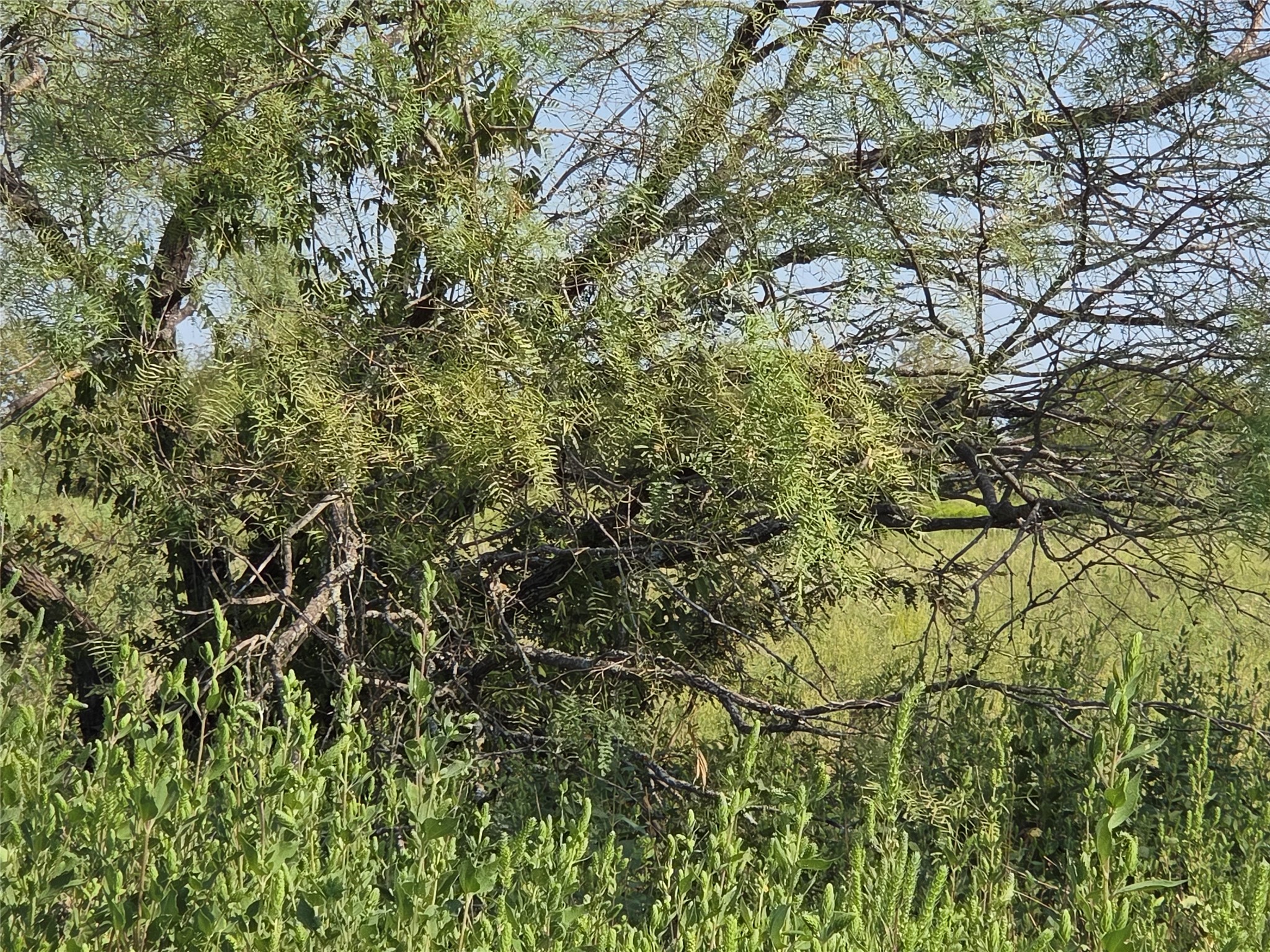 Lot 3 Old Peninsula Trail Corsicana TX 75109