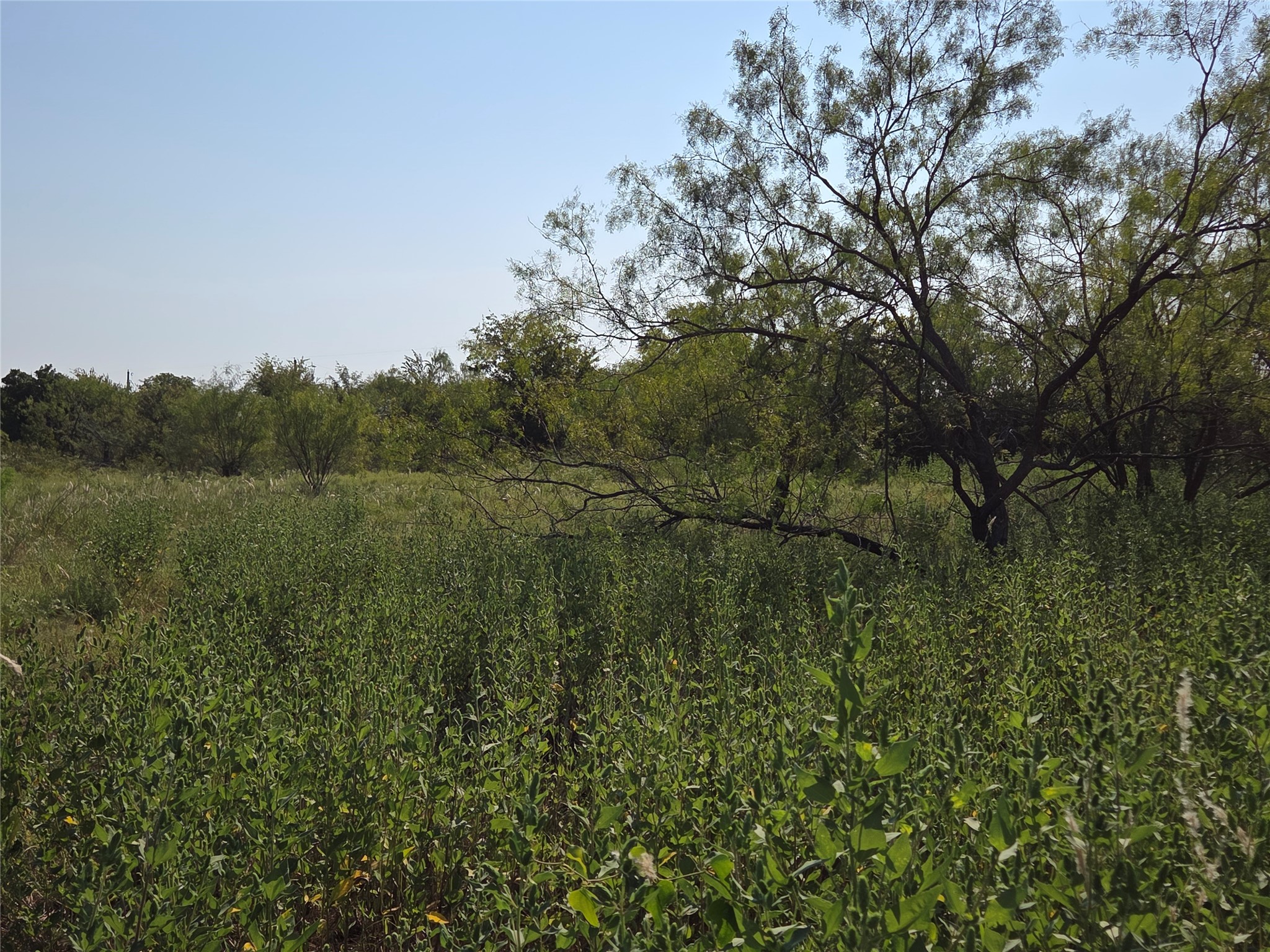 Lot 3 Old Peninsula Trail Corsicana TX 75109