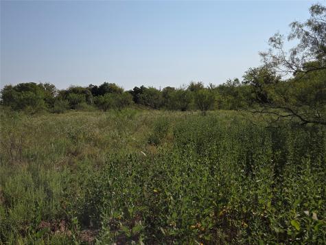 Lot 3 Old Peninsula Trail Corsicana TX 75109