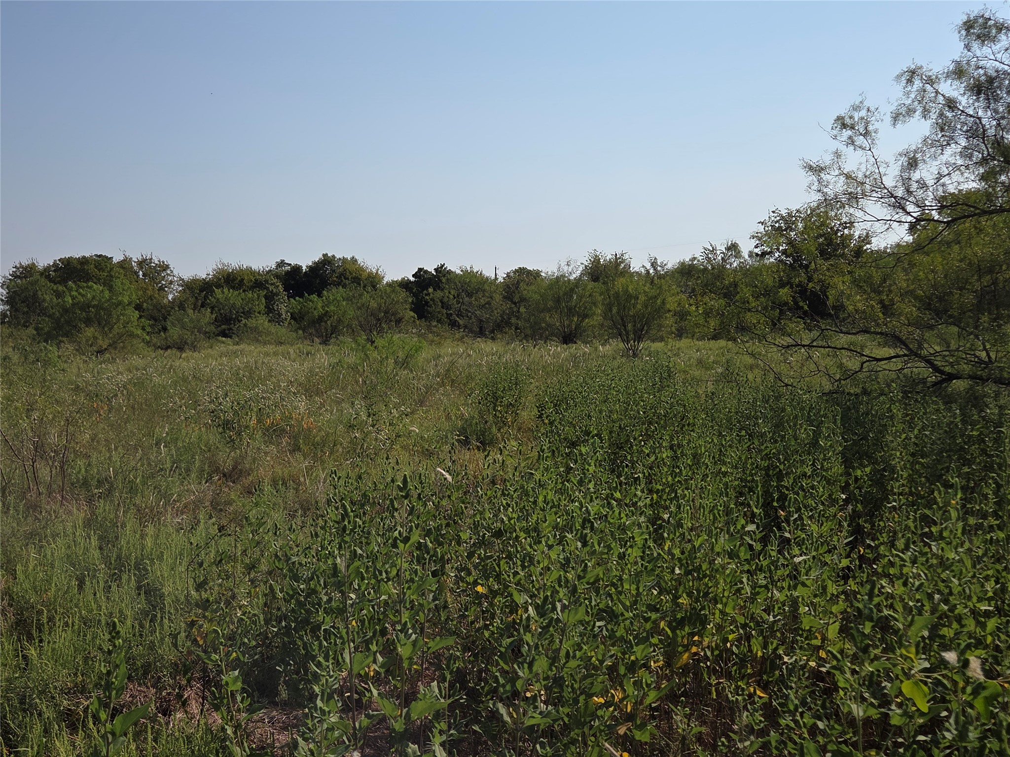 Lot 3 Old Peninsula Trail Corsicana TX 75109
