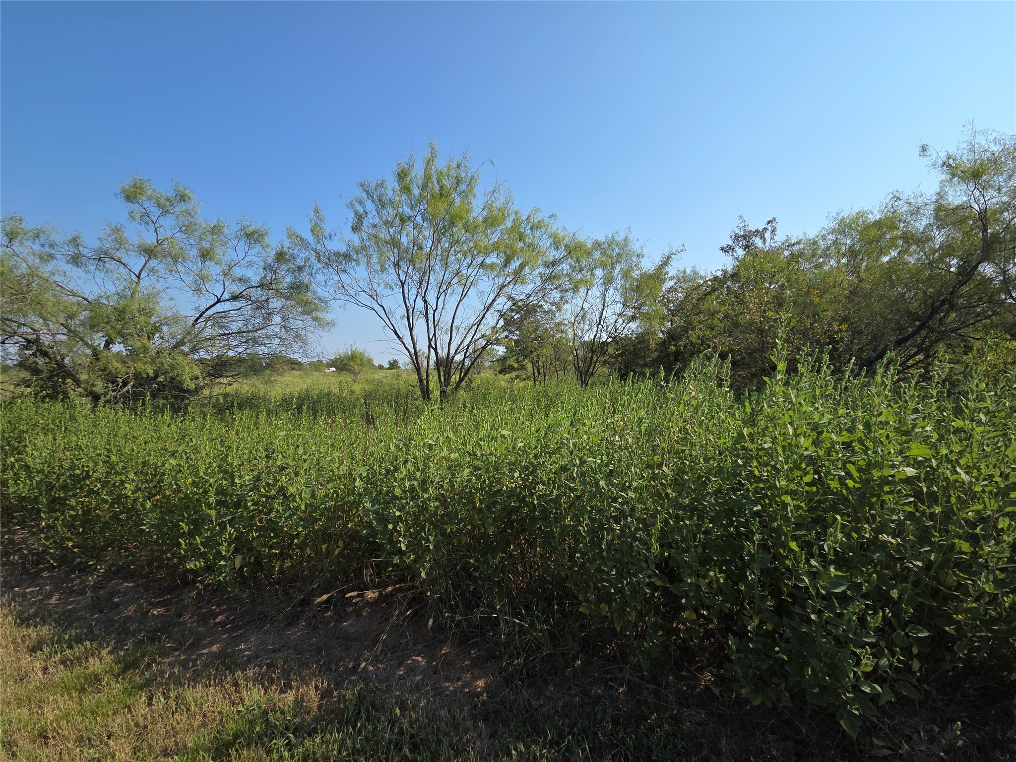 Lot 3 Old Peninsula Trail Corsicana TX 75109