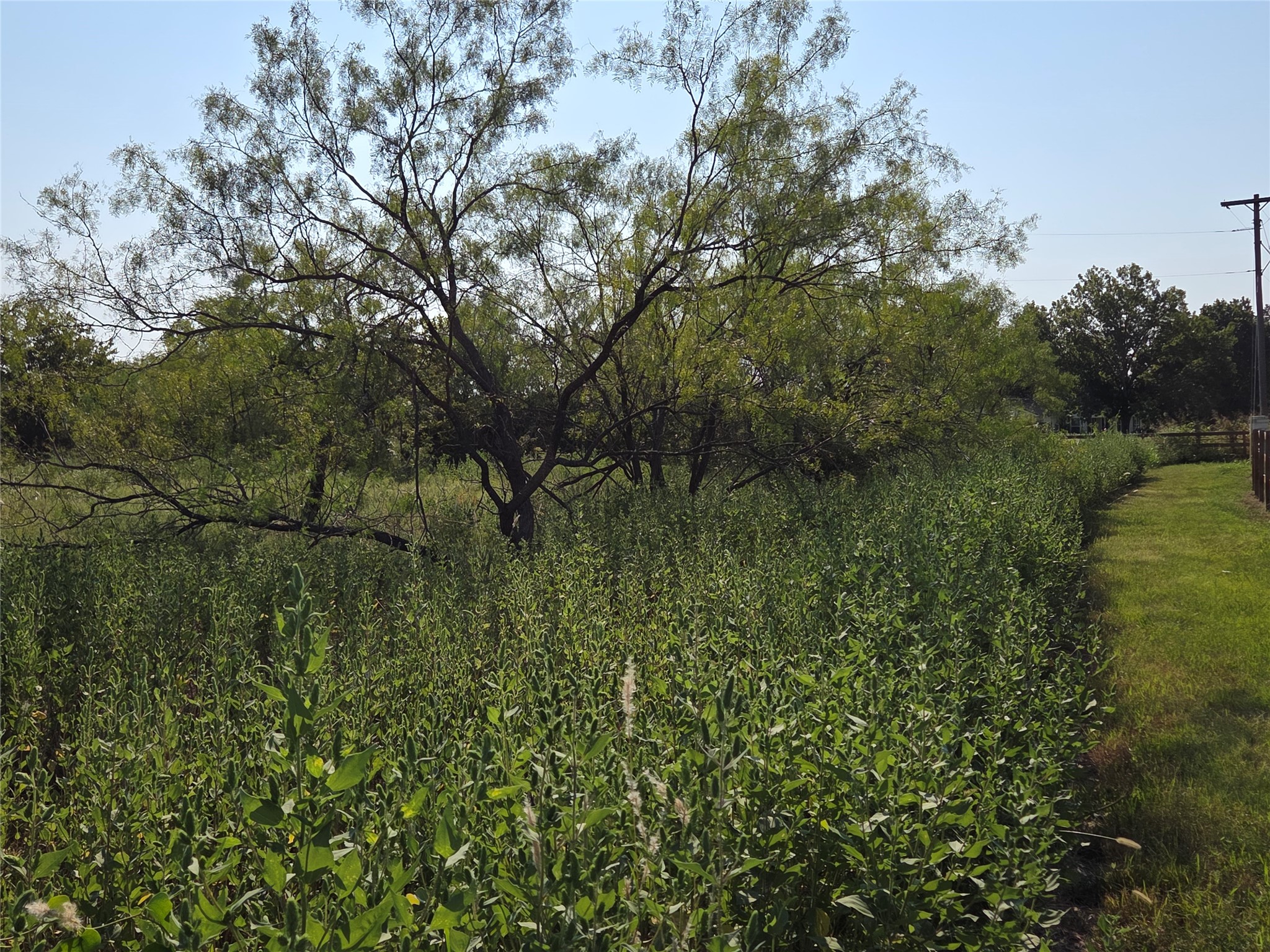 Lot 3 Old Peninsula Trail Corsicana TX 75109