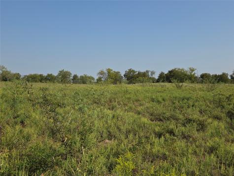 Lot 3 Old Peninsula Trail Corsicana TX 75109