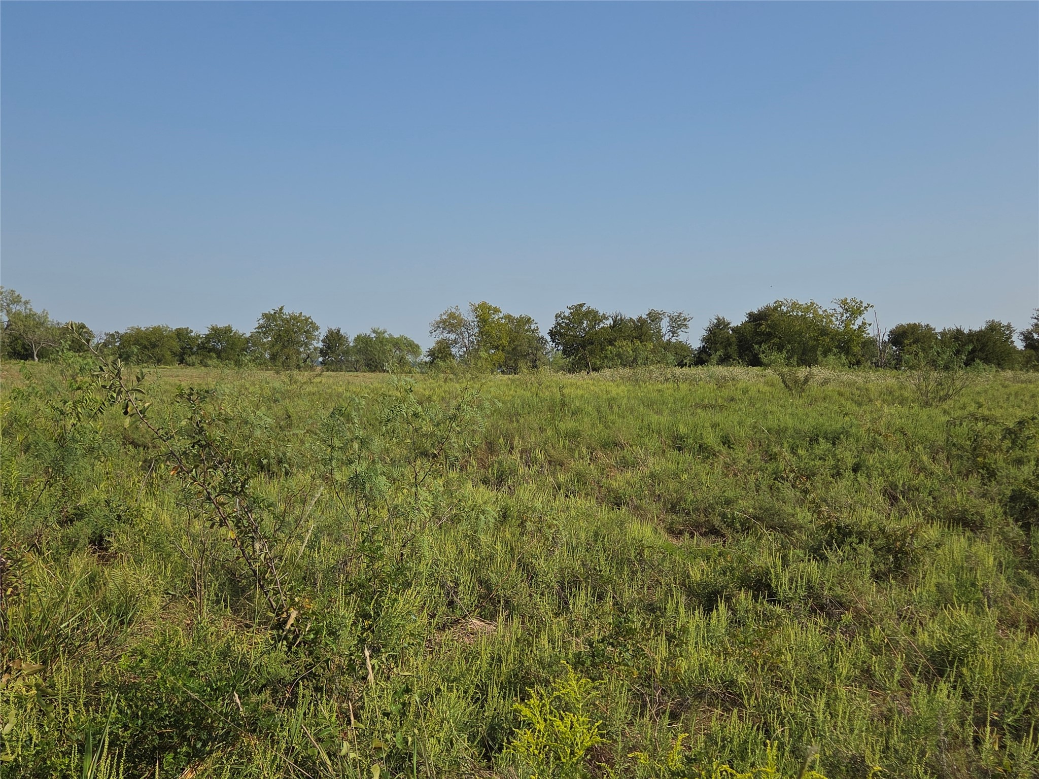 Lot 3 Old Peninsula Trail Corsicana TX 75109