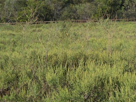 Lot 3 Old Peninsula Trail Corsicana TX 75109