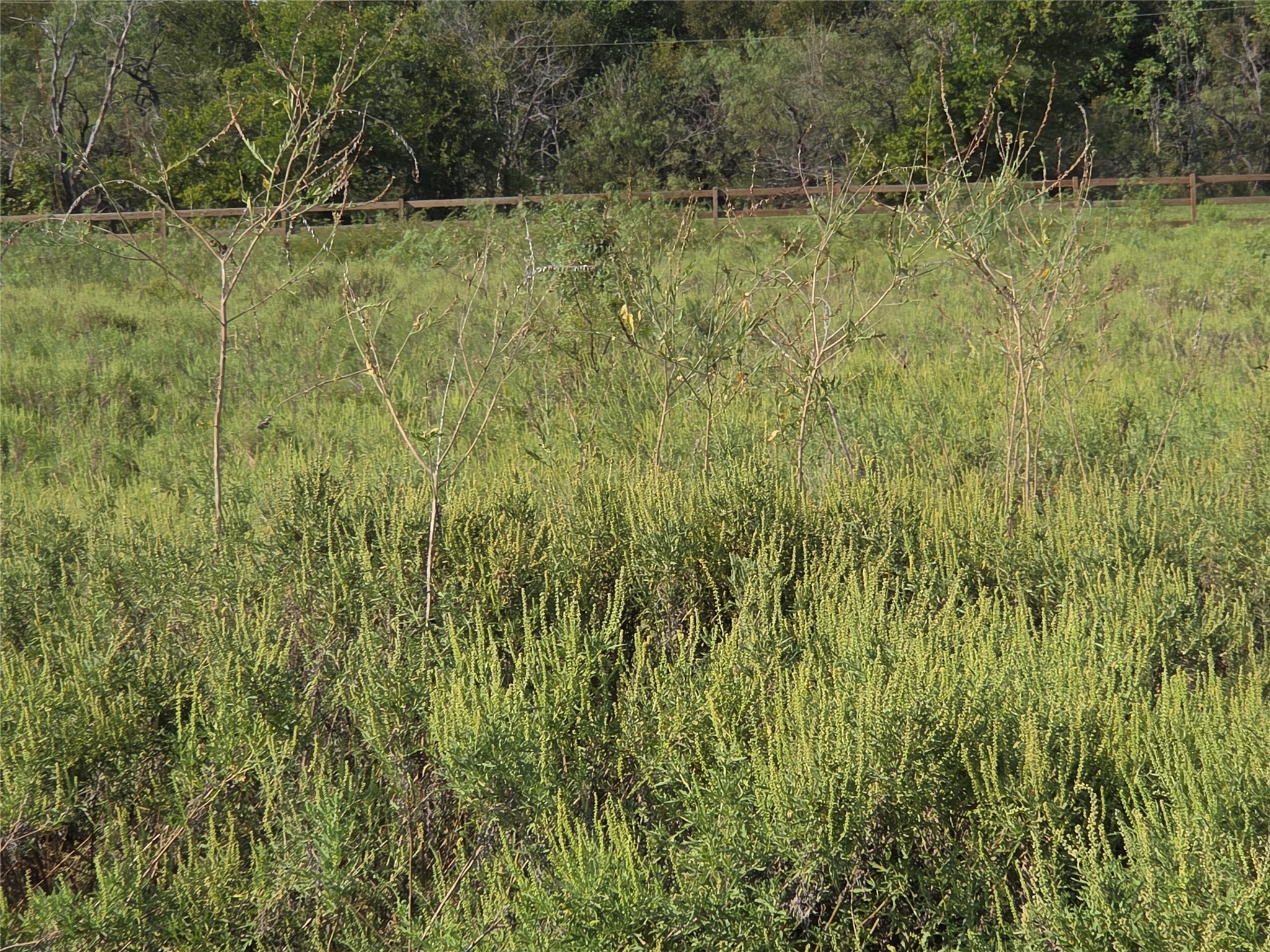 Lot 3 Old Peninsula Trail Corsicana TX 75109