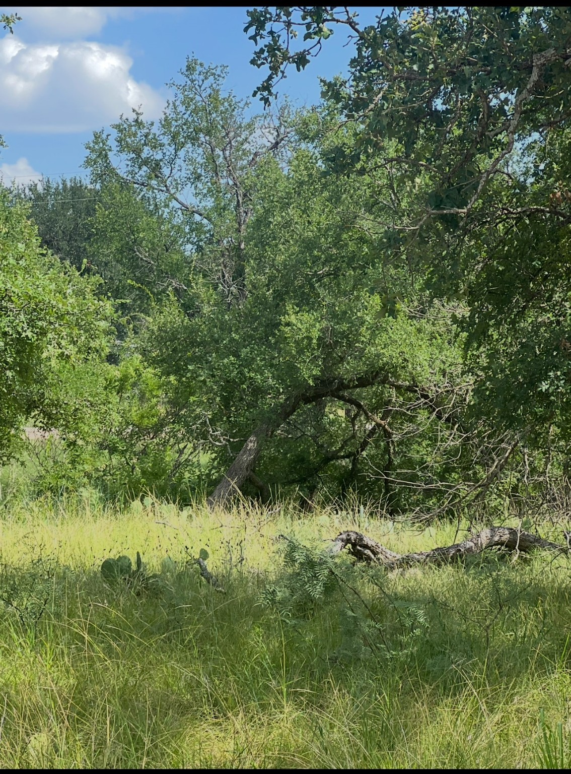 Lot 692 S Lakes Drive May TX 76857