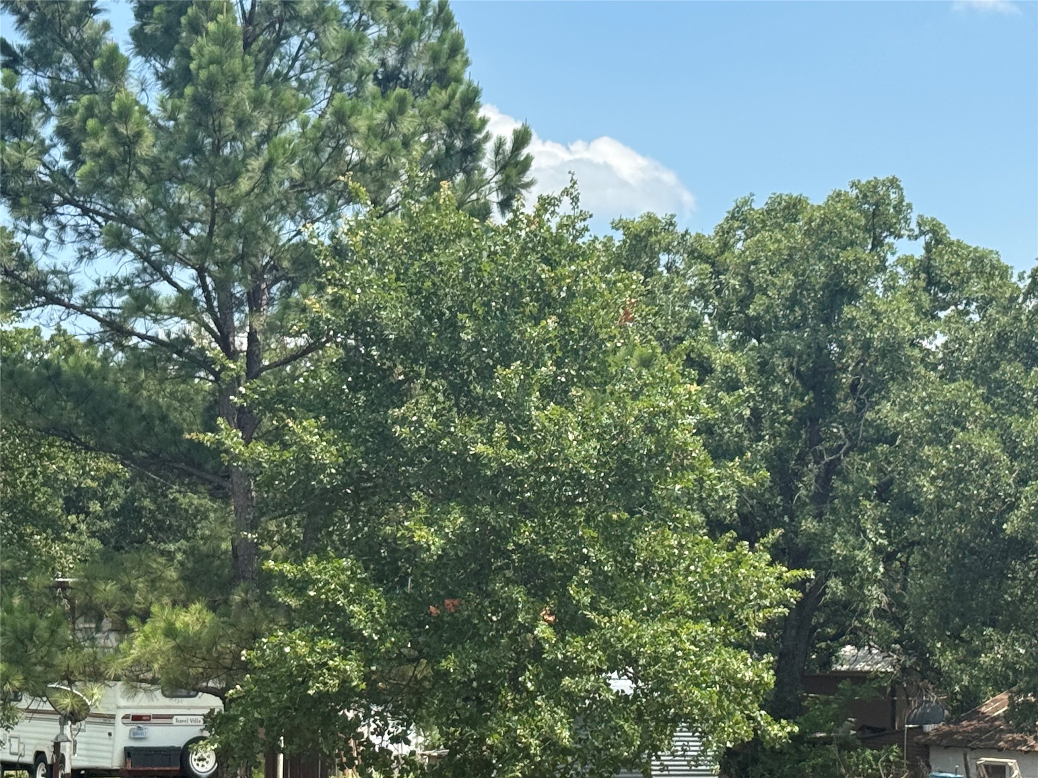 2923 Millsap Highway Mineral Wells TX 76067